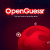 Openguessr